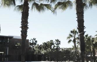 Herdade dos Salgados - 2 Bedroom - Foto 21