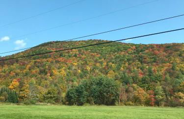 Dreamy Artist Chalet in Secluded Historic Village - Photo 40