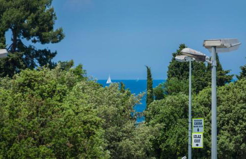 Val di Sole - Photo 24