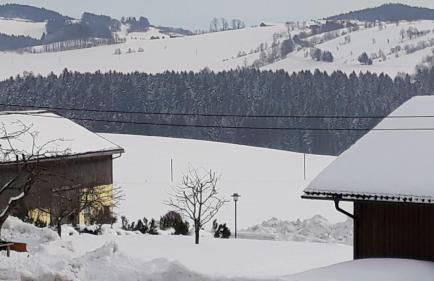 Ferienhof Naderhirn - Bauernhof - Foto 69