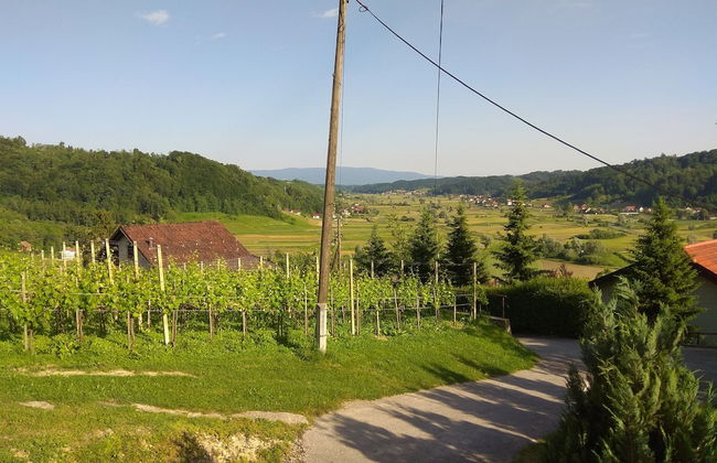 Apartments Country House Stipica - Foto 23