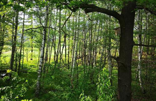 Ferienhof Plotzen - Foto 12