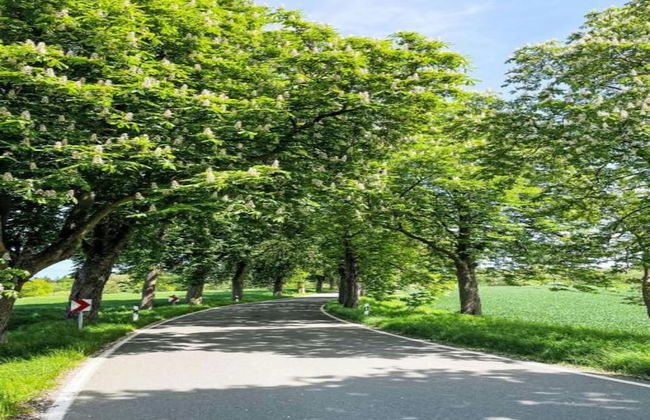 Peaceful Escape in Neu Karin - Photo 27