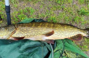 Piotiwo D1 - Foto 29