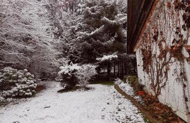 Ferienwohnungen Kremser bei Spiegelau Eppenschlag - Foto 49