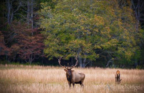 New Country House with Stylish Modern Amenities - Foto 35