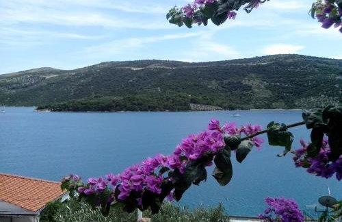 Apartments Rinčić - Photo 70