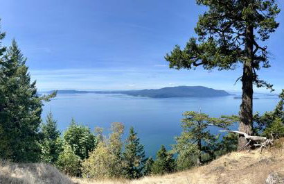 Driftwood Dreams Happy Guests, Lowered Pricing - Foto 73