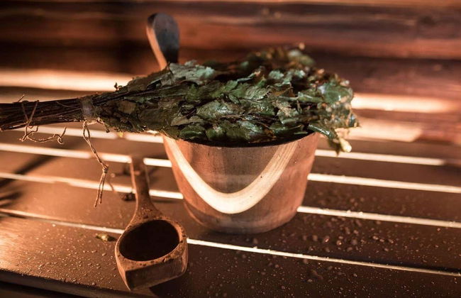 Finnish Sauna, Ice Swimming + Dinner - Photo 9