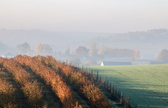 Moja Mała Toskania - Foto 50