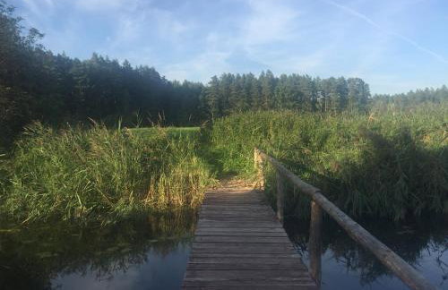 Domek Leśne Zacisze - Foto 22