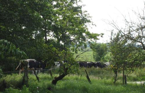 Hof Becker - Weidenblick - Photo 10