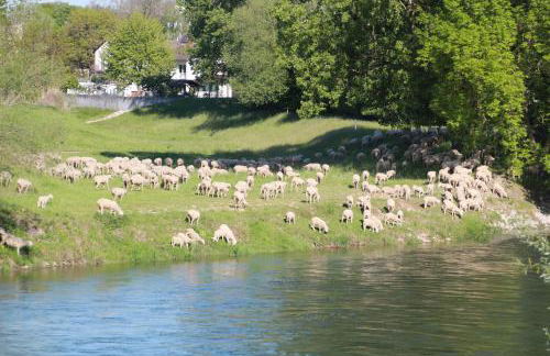 Danubio an der Donau - Donau-Resorium - Foto 19