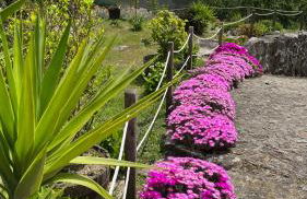 Casas das Olas - Foto 79