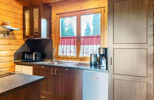 Ferienblockhaus Glocker - Hof - Foto 6