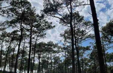 Pavilllon au calme à Lacanau Ocean, L'aubarède - Foto 11