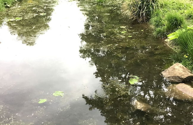 Euro Apartments Lidická 39 Brno - Foto 46