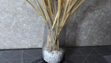 Ferienwohnung Morenz - Foto 4