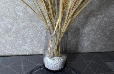 Ferienwohnung Morenz - Photo 4