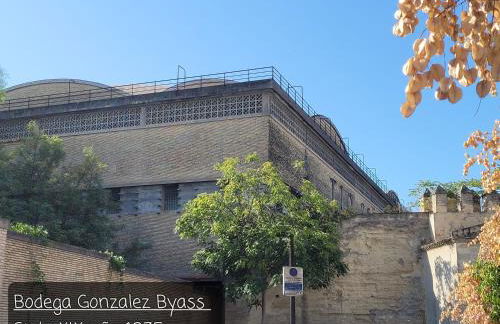 Jerez Centro Historico - Foto 43