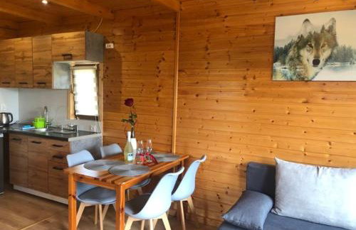 Solina - Jezioro Solińskie - Domki - Photo 25