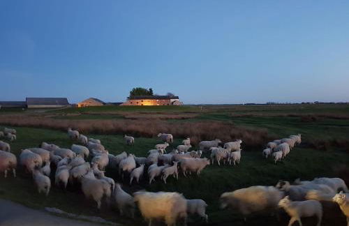 Pattys Barn Holiday Cottages, Cabins and Venue Hire - Foto 61