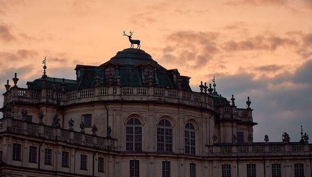 Visite guidée du pavillon de chasse de Stupinigi - Photo 4