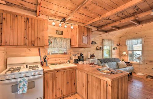 Pet-Friendly Ellsworth Cottage on Branch Lake - Foto 12