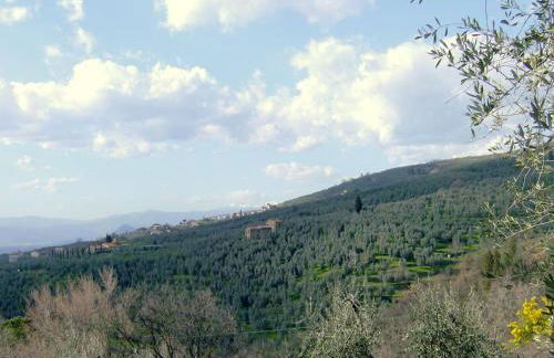 Sunlit Home With Pool - Foto 50