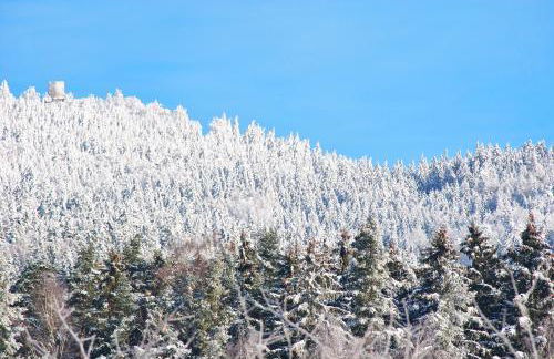 Ferienwohnung Familie Kappauf & Petrik - Foto 44