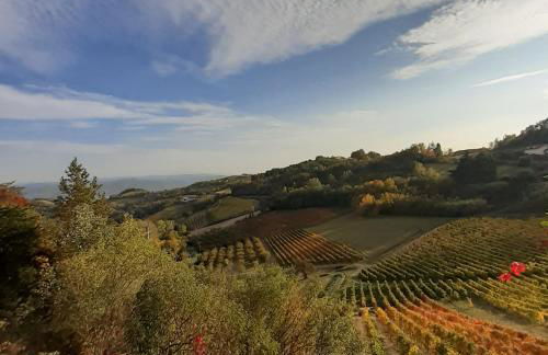 La Giribaldina Winery & Farmhouse - Foto 68