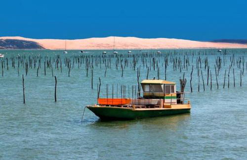 Le Caudalie au cœur des vignobles Pessac Léognan - Foto 14