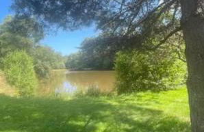 Chalet autonome avec étang pleine nature - Foto 8