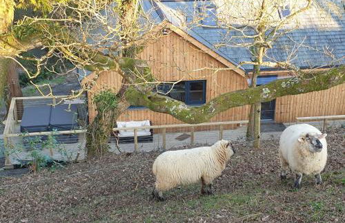 Tresillian Lodge Waterfront, Forest, Hot tub,Sauna - Foto 48