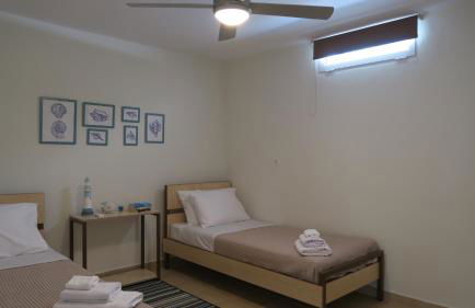 Aeolos beachfront family residence - Foto 18