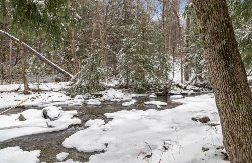 Smuggler's Notch Mountain House with hot tub & river - Foto 50