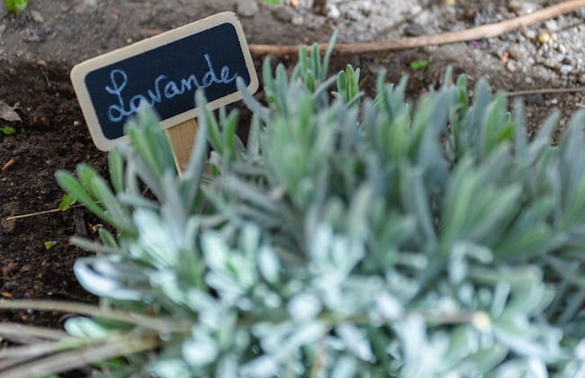 La Maison de Famille by MaisonMars - Foto 18