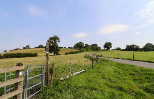 The Shires at Bickerscourt - Foto 27