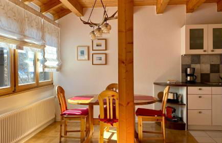 4-Sterne Ferienhaus Rösslewiese Hinterzarten - Foto 1