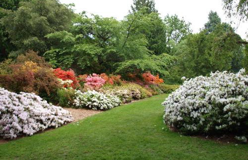 Montlake Apartments - Arboretum, UW, Husky Stadium - Foto 12