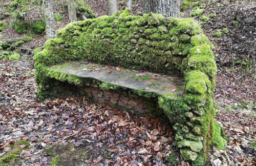 Appartment Schlossblick - Foto 33