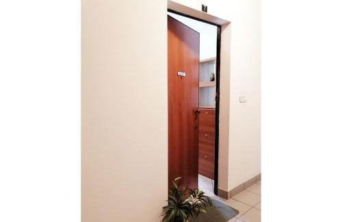 HoliHome_Colombo - Open Space, 100m dal mare! - Foto 15