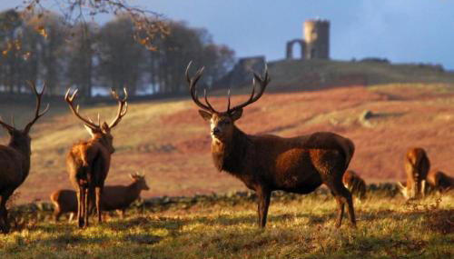 University Duplex • Sleeps 6 - Foto 2