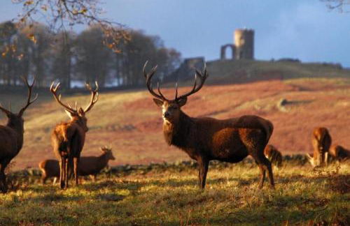 University Duplex • Sleeps 6 - Foto 2