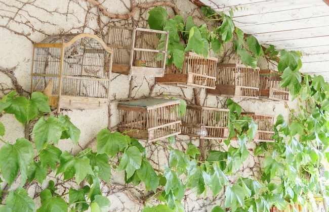 Charming Cottage in Oppede Amidst Vineyards - Foto 65