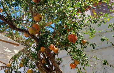 Gästehaus Casa Roca Fataga - Foto 25