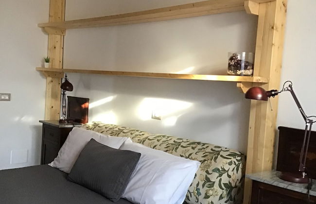 Viola nel Parco - Foto 8