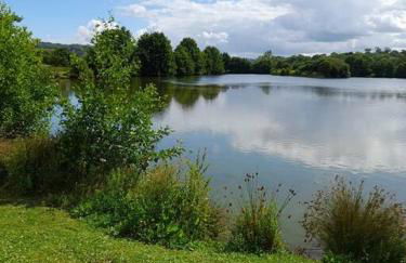 Appartement T2 avec balcon refait à neuf - Photo 9