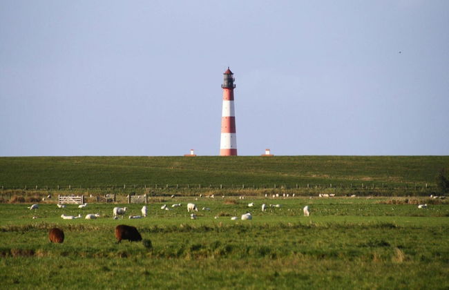 Ferienwohnung, Garding - Foto 14