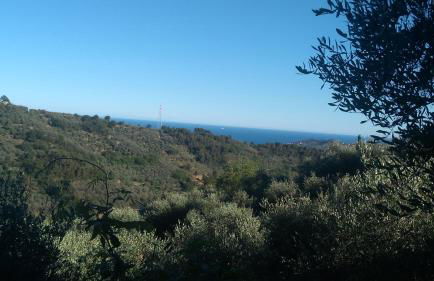 Le casasse - Foto 51